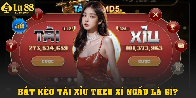 Bắt kèo tài xỉu theo xí ngầu là gì?
