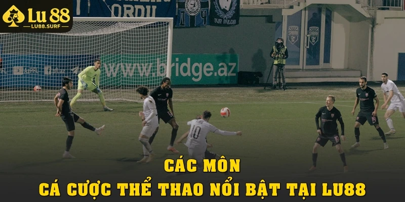 Các môn cá cược thể thao nổi bật tại Lu88