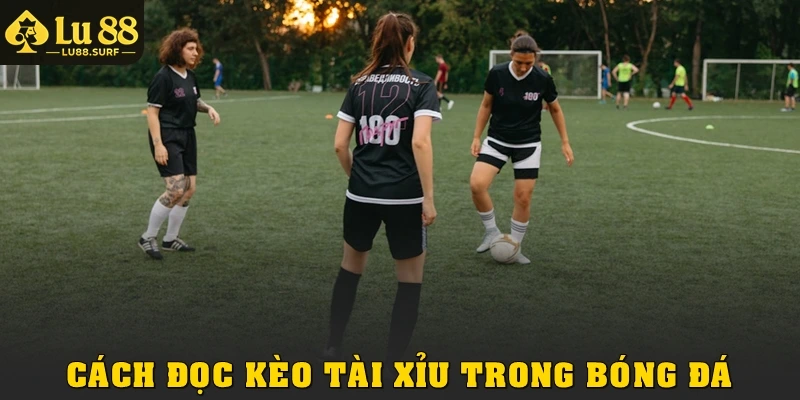 Cách Đọc Kèo Tài Xỉu Trong Bóng Đá Cực Dễ Hiểu Tại Lu88