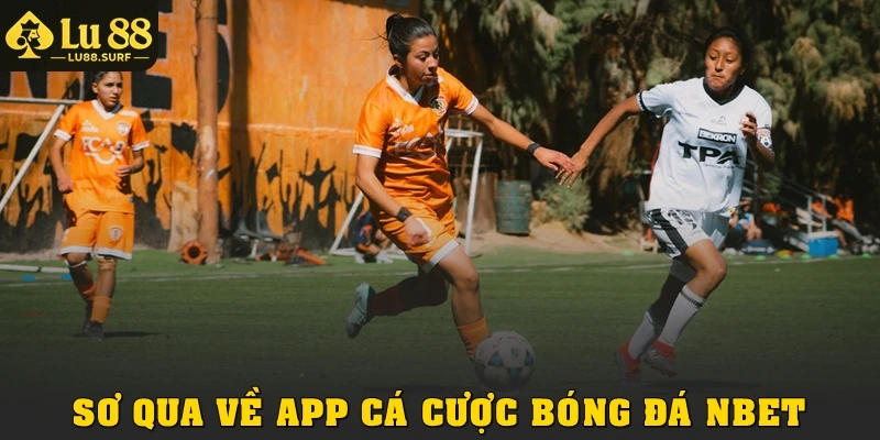Sơ qua về app cá cược bóng đá Nbet