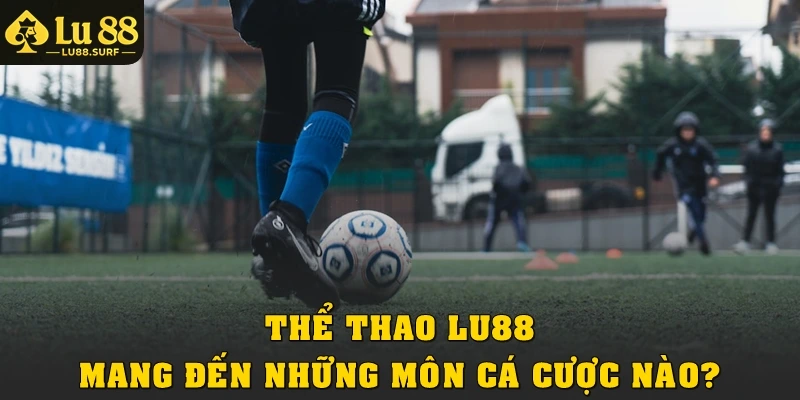 Thể thao Lu88 mang đến những môn cá cược nào?